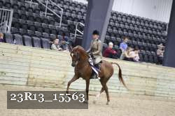 23R13_15563 thumbnail