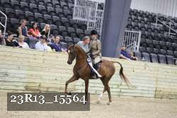 23R13_15564 thumbnail
