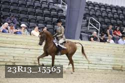 23R13_15565 thumbnail