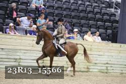 23R13_15566 thumbnail