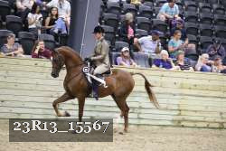 23R13_15567 thumbnail