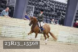 23R13_15568 thumbnail