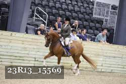 23R13_15569 thumbnail