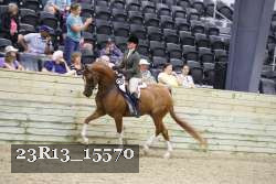 23R13_15570 thumbnail