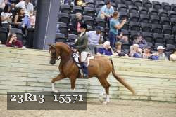 23R13_15571 thumbnail