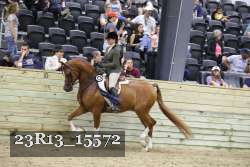 23R13_15572 thumbnail