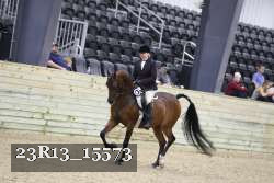 23R13_15573 thumbnail
