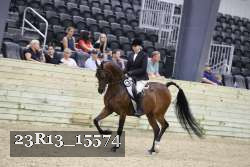 23R13_15574 thumbnail