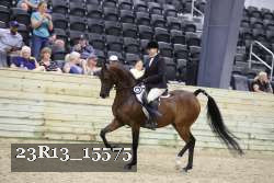 23R13_15575 thumbnail