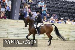 23R13_15576 thumbnail
