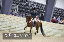 23R13_15577 thumbnail