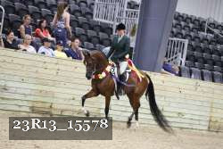 23R13_15578 thumbnail
