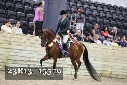 23R13_15579 thumbnail