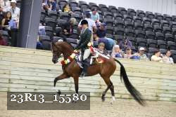 23R13_15580 thumbnail