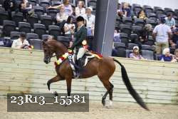 23R13_15581 thumbnail