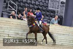 23R13_15582 thumbnail