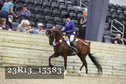 23R13_15583 thumbnail