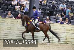 23R13_15584 thumbnail