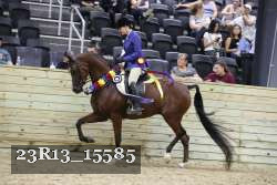 23R13_15585 thumbnail