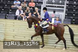 23R13_15586 thumbnail
