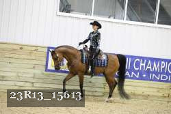 23R13_15613 thumbnail