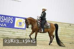 23R13_15615 thumbnail