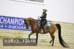 23R13_15616 thumbnail