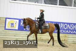 23R13_15617 thumbnail