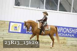 23R13_15620 thumbnail