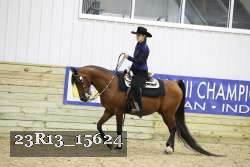 23R13_15624 thumbnail