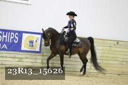 23R13_15626 thumbnail