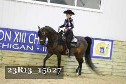 23R13_15627 thumbnail