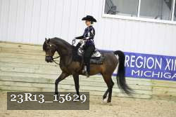 23R13_15629 thumbnail