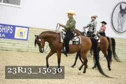 23R13_15630 thumbnail