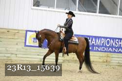 23R13_15639 thumbnail