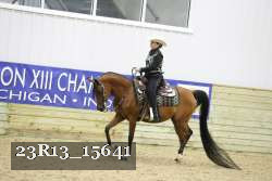 23R13_15641 thumbnail