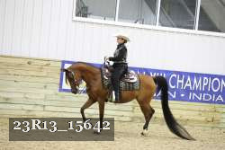 23R13_15642 thumbnail