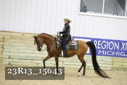 23R13_15643 thumbnail