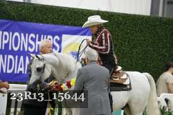 23R13_15644 thumbnail