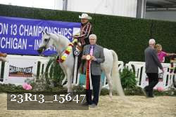 23R13_15647 thumbnail