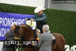 23R13_15653 thumbnail