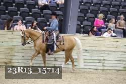 23R13_15714 thumbnail