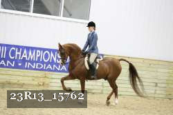 23R13_15762 thumbnail