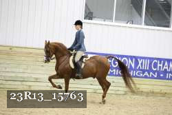 23R13_15763 thumbnail