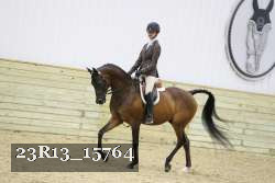 23R13_15764 thumbnail