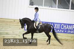 23R13_15766 thumbnail
