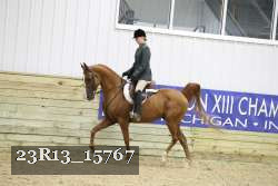 23R13_15767 thumbnail