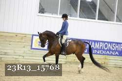 23R13_15768 thumbnail