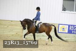 23R13_15769 thumbnail
