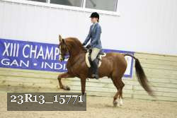 23R13_15771 thumbnail